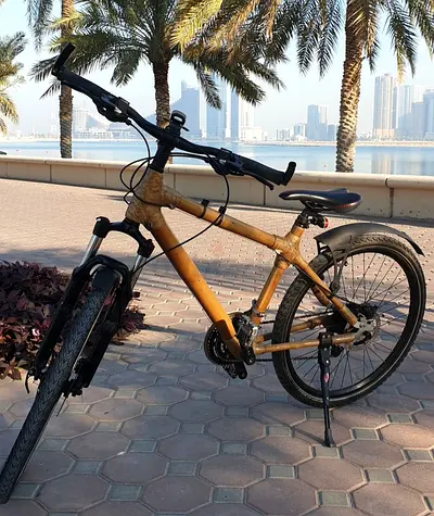 Bamboo Mountain Bike for Sale