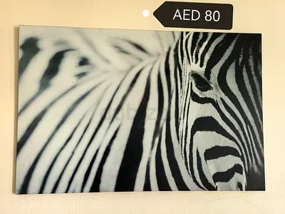 Ikea Zebra Canvas
