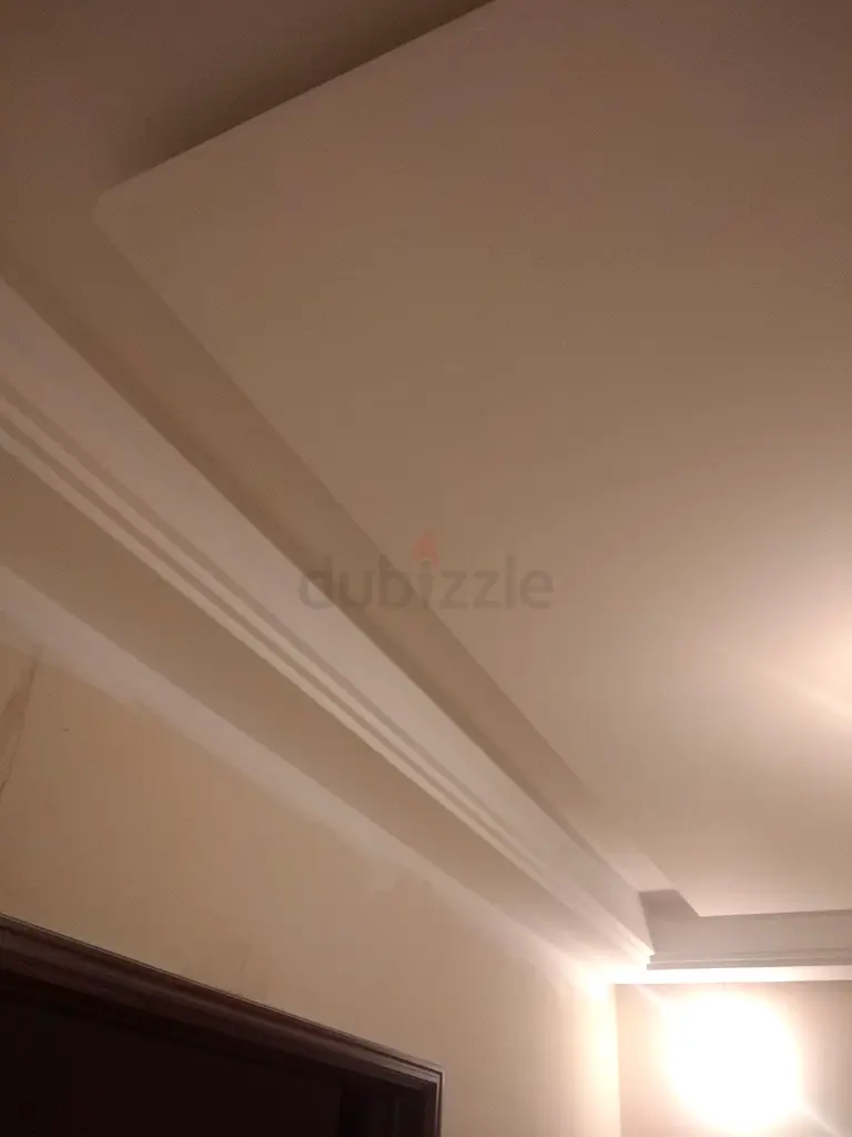 DPV_View_Image_6