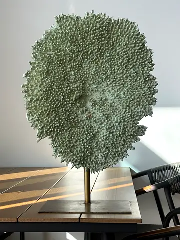Luxury Coral Sculpture on Brass Stand – Elegant Designer Home Decor