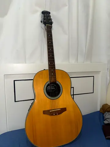 Guitar