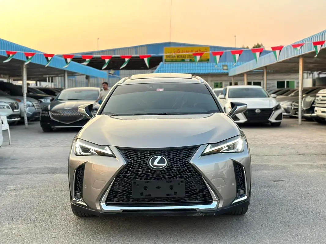 Lexus UX-Series 2020 — photo 1 of 19