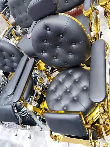 Elegant Black and Gold Salon Chair