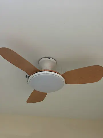 Ceiling fan with full spectrum light