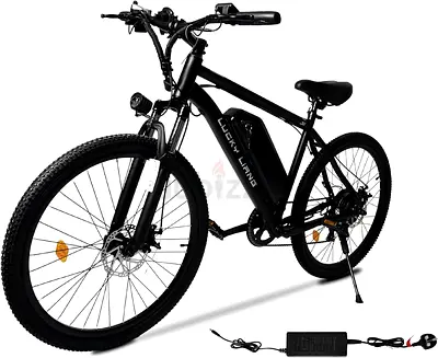 Electric Mountain Bike