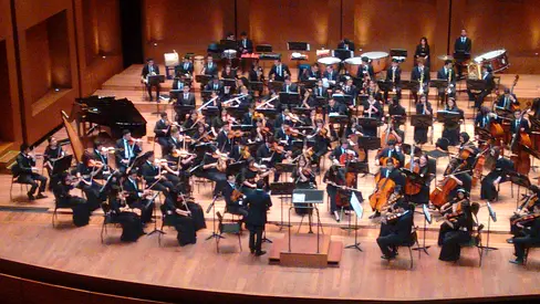 Violin Lessons in Dubai – Experienced Teacher