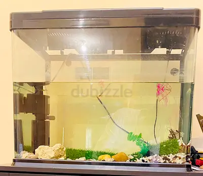 Aquarium Tank for Sale