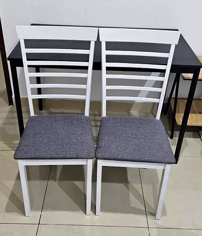Set of 2 Modern Dining Chairs