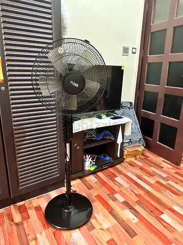 Standing Fan for Sale