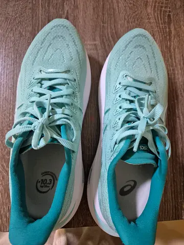 ASICS GT2000 13 RUNNING SHOES