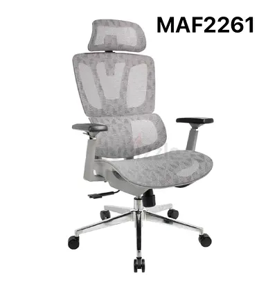 Ergonomic Office Chair