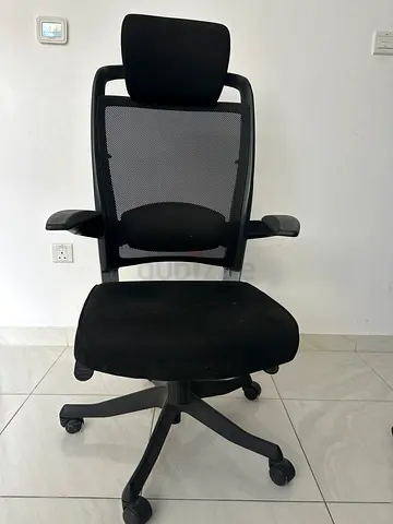 Ergonomic Office Chair