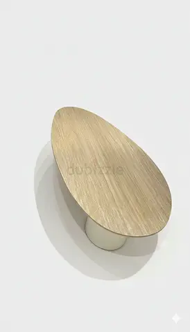 Stylish Oval Coffee Table