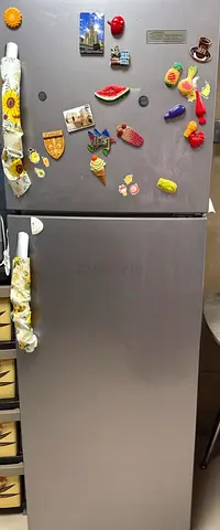 Refrigerator super general