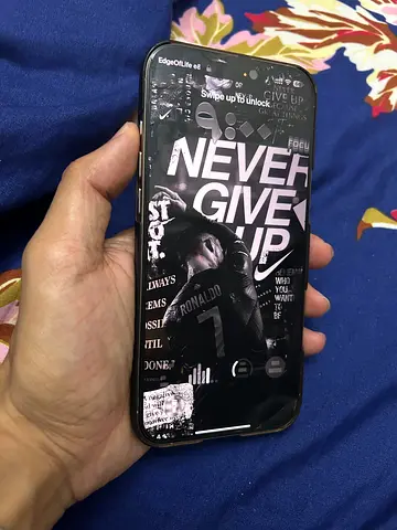 iPhone 16 Pro Max — 256GB | Natural Titanium