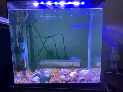 24 litre Aquarium tank  for sale