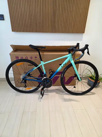 Liv road bike