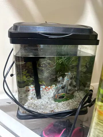 Aquarium small