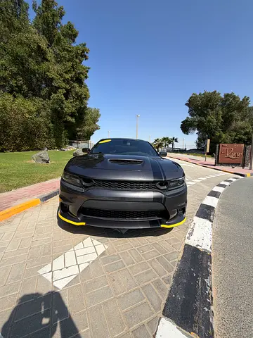 الشارقة سوق الحراج