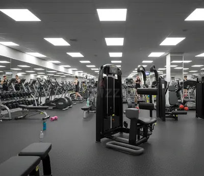 Technogym Rotary Torso – Refurbished –