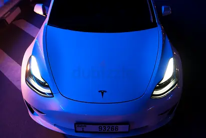 Tesla Model 3 Performance