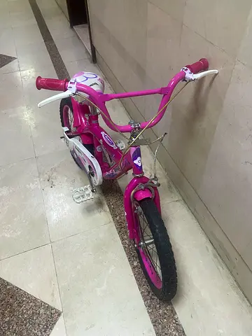 Girls Pink Bicycle with Training Wheels