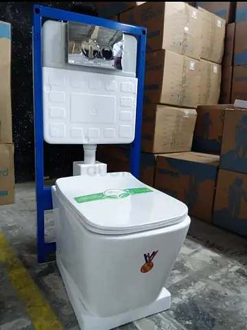 Modern Toilet with Wall-Mounted Frame