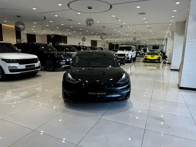 Tesla Model 3 Standard Plus