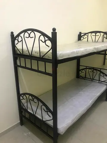 Bed Space Available for Executive Bachelors at Al Qusais -1