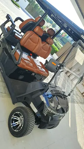 Golf Cart – Excellent Condition | 1 Year Old | Well Maintained