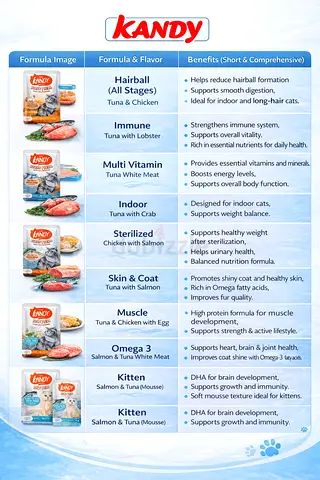 KANDY Wet Cat Food Jelly 70gm Pouch/ Sachet