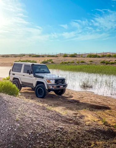 2021 Toyota Land Cruiser 71 Series