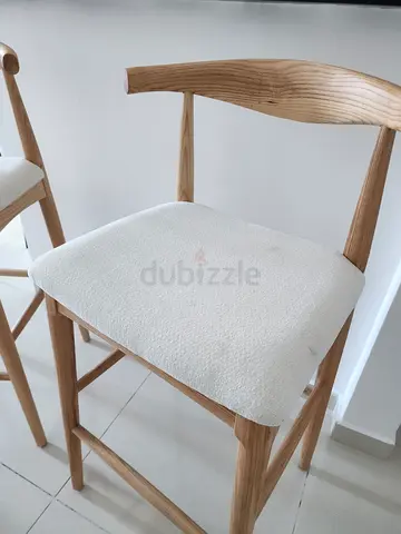 Stylish and Modern Dining Chair