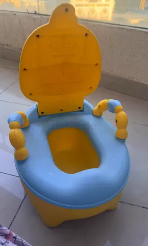 Toddler Potty Training Seat