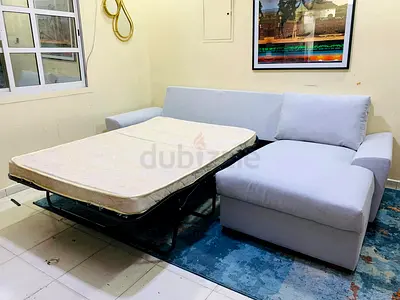 Comfortable Sleeper Sofa with Chaise