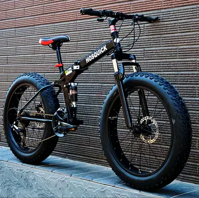Fat Tire Mountain Bike - Hosquick Model
