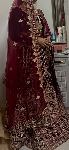Elegant Traditional Bridal/Festive Dress
