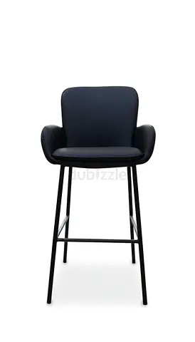 Stylish Black Bar Stool