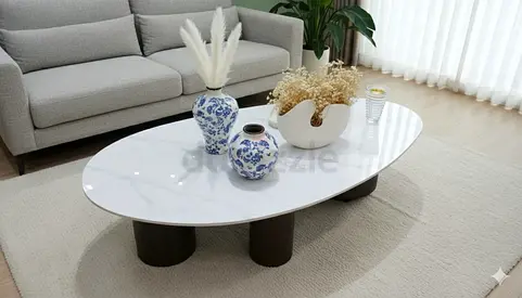 Stylish Oval Coffee Table