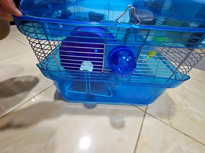 Hamster cage