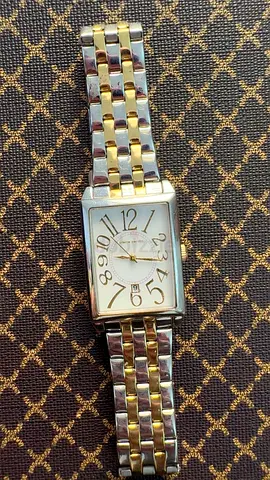 Pierre Cardin Stylish Two-Tone Watch