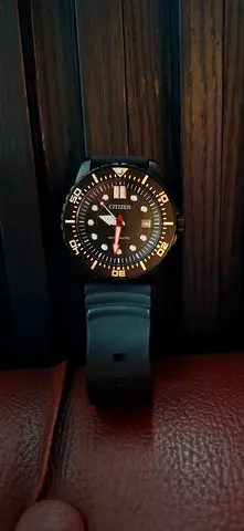 Citizen Dive Watch