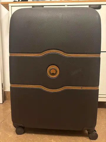 Delsey Paris Chatelet check in luggage