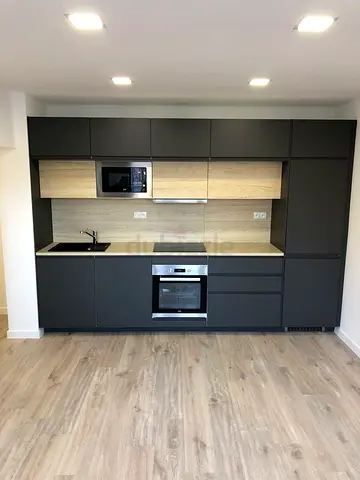 Modern Kitchen cabinets with integrated appliances