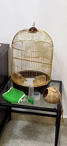 Birdcage with Accessories