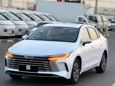 2025 BYD DESTROYER 05 SUNROOF PLUG IN HYBRID 
DM-i 55KM
