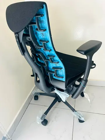 Herman Miller Embody Chair | Logitech Blue