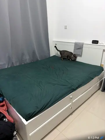 Urgent – Ikea Bed with Storage