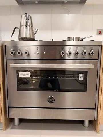Stainless Steel Oven and Range (Bertazzoni)