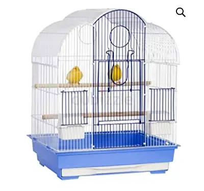 Cage with canary pair and 5 babies